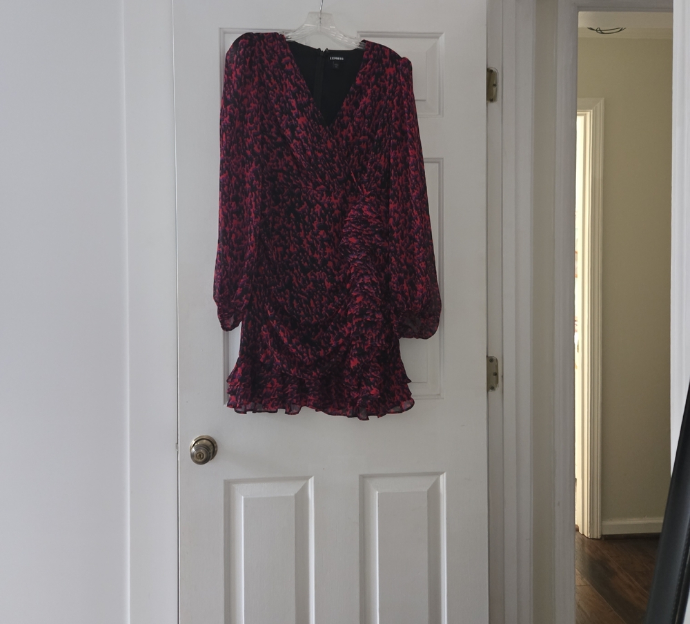 Express Pink and Black Long Sleeve Dress